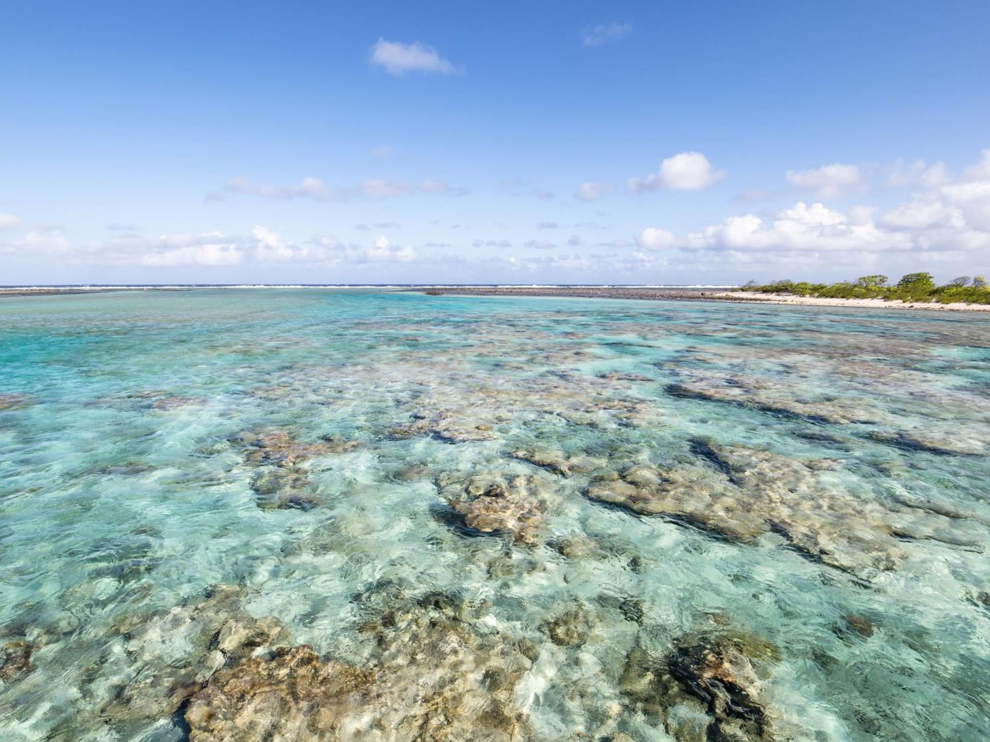 Bungalow sull'Acqua